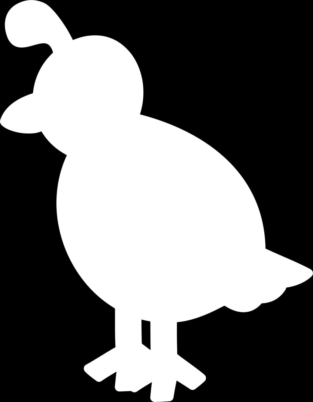 quack,