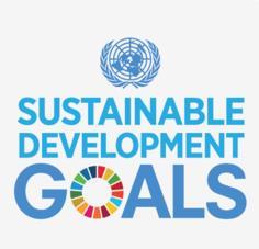 Comprehensive Capacity Development Program Recognized as hub for INTOSAI s efforts on Sustainable Development goals IDI and KSC started a comprehensive capacity development program on auditing