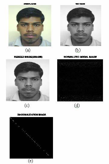 International Journal of Computer Science Issues, Vol. 2, 2009 52 Fig.2. Canonical form based Palm images.