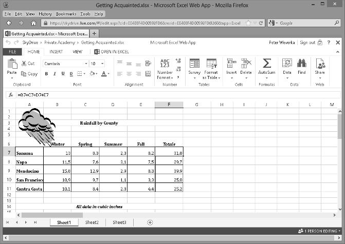 716 Storing and Sharing Files on the Internet Figure 1-1: Web applications (the Excel Web App, in this case) are run inside a browser window.