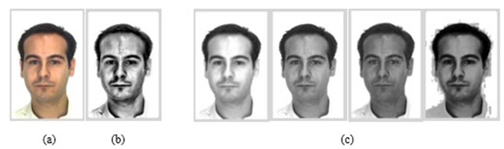 Face Recognition based Only on Eyes Information and Local Binary Pattern Fig. 2. Image Processing. (a) Original Image. (b) Pre-processing image.
