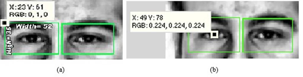 Francisco Rosario-Verde, Joel Perez-Siles, Luis Aviles-Brito, Jesus Olivares-Mercado, et al. Fig. 3. Results of approximation of the center pixel. (a)data generated by Face Parts Detection.