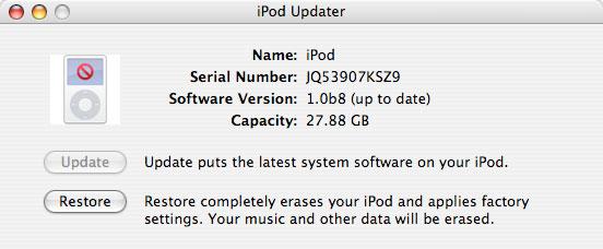 and the ipod Updater window displays the ipod name, serial number, software version, capacity,