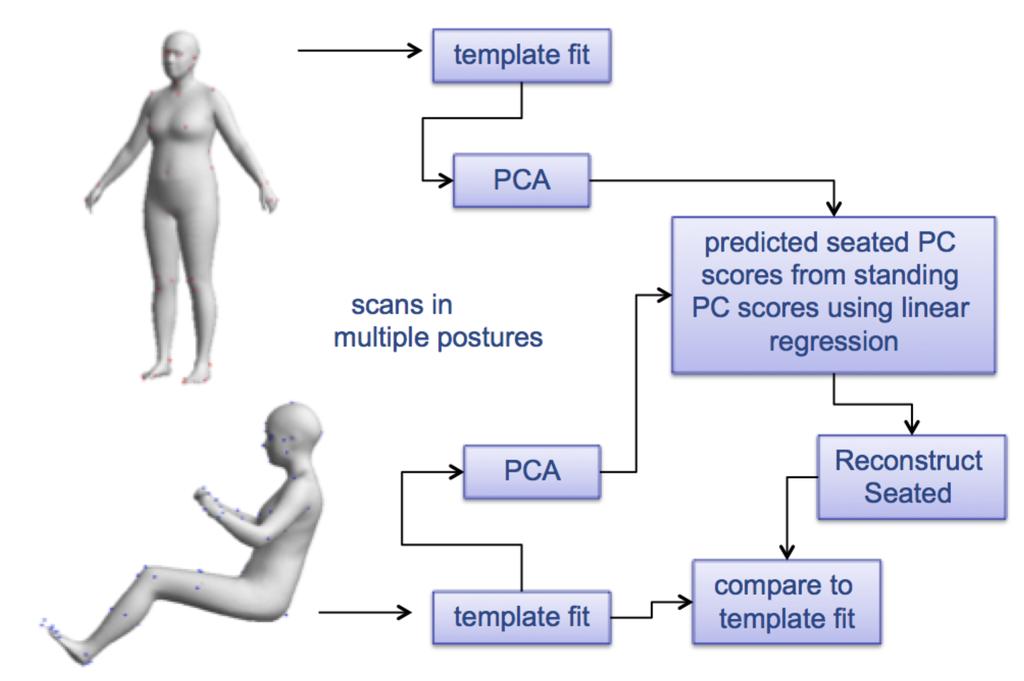 In typical applications, body shapes are predicted from overall anthropometric measures such as stature and body weight (Parkinson and Reed 2008; Park and Reed 2015).