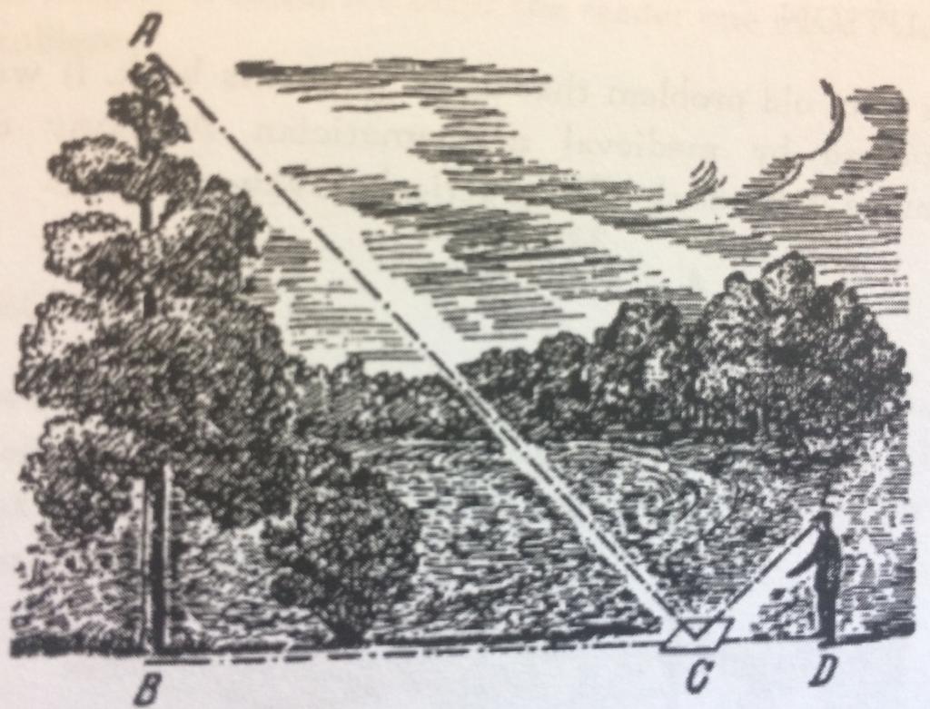 7. Here is a different way of determining the height of a tree using a mirror. At some distance from the tree to be scaled, place a mirror horizontally on the ground at point C.