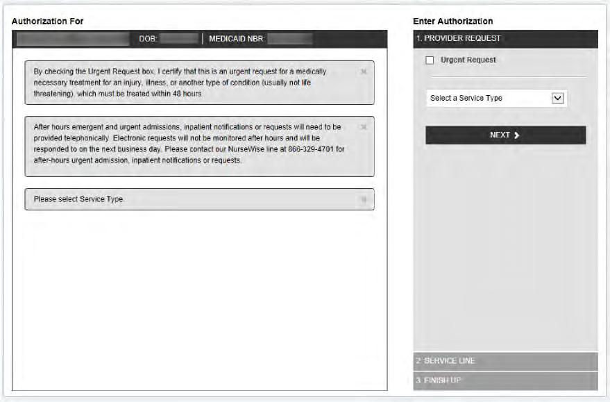 4. The authorization form opens and displays two sections.