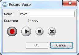 In addition to text description, you can describe by voice through recording.