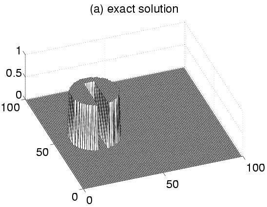 Figure 1: Results from a slotted cylinder problem in planar geometry. The exact solution after six rotations can be found in panels (a). Numerical results are displayed in panels (b)-(d).