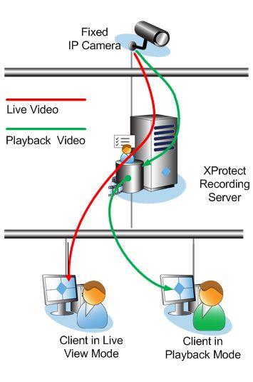 Dual streaming Two independent video streams for live and recorded video* Stream compression, resolution