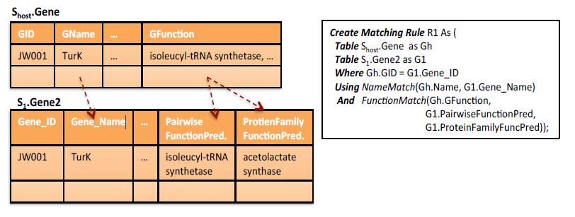 Figure 4.1: Create Matching Rule Gene Example. Figure 4.1 provides an example of implementing a Create Matching Rule which compares genes stored in a number of databases.