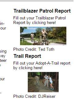 Additional Reports: Program Specific reports can also be accessed from the home page.