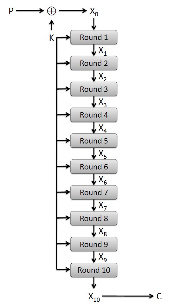 AES Round Structure Round keys derived from user key using AES key schedule. Each round transforms 128-bit state, X i in 4 steps: 1.