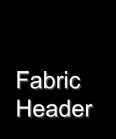Fabric header LBA Write