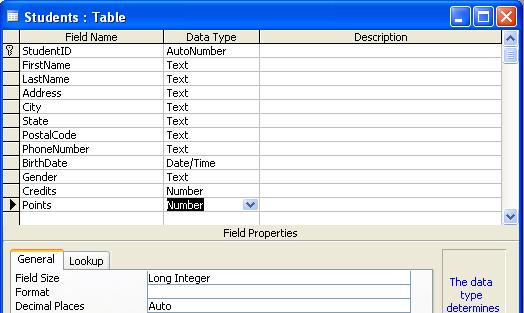 Press the Tab key to move to the Data Type column.