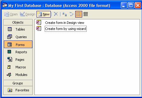All forms contain objects that called controls that accept and display data, perform a specific action, decorate a form, or add descriptive information.