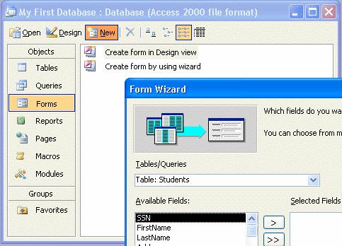 Modifying a Form You can customize the form, by adding other controls, such as adding a calculated field, and/or modify the controls