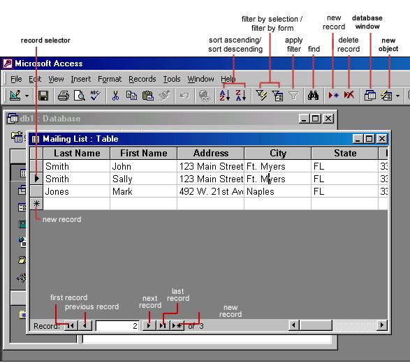 Datasheet View allows you to update, edit, and delete records. Adding Records Add new records to the table in datasheet view by typing in the record beside the asterisk (*) that marks the new record.