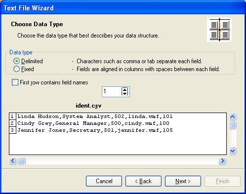 When Text File Wizard finishes, it will return control back to Database Wizard, that will guide the rest of the way.