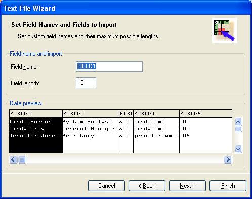 Formatting the Fields Database Wizard Formatting the fields In this step of the Wizard you can review the fields' names and lengths and modify them, if necessary.