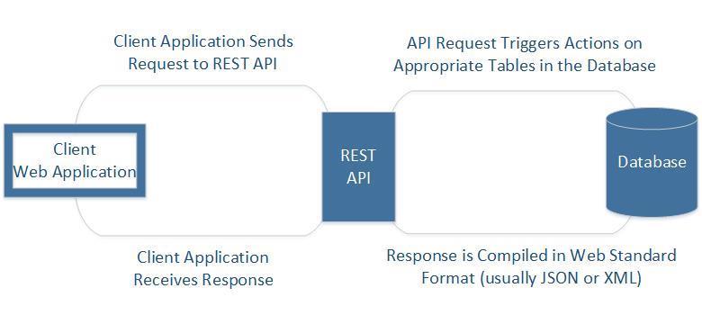 REST APIS AND CAS ACTIONS In this section we will discuss how SAS has integrated REST APIs into the Viya platform enabling the use of SAS analytics in any programming language that you prefer.