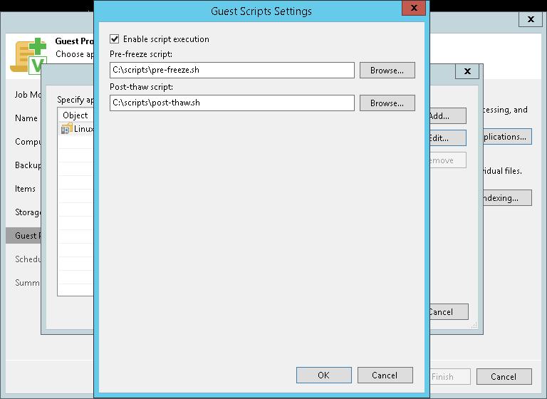 4. In the Guest Scripts Settings window, select the Enable script execution check box. 5.