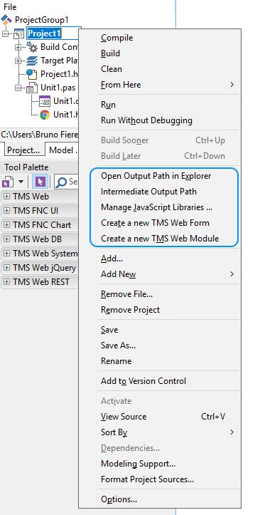 From this context menu, the output path (where HTML, JS, CSS are generated) can be opened