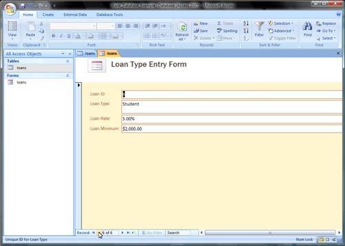 12. To enter data, simply type data into the appropriate textbox. For this example, enter Auto Loan 36-Month for the loan type, 8.5 for the loan rate, and 5000 for the loan minimum.