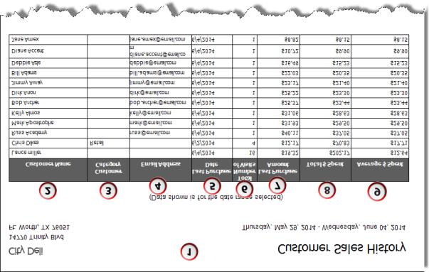 CUSTOMER SALES REPORT The Customer Sales report provides a sales summary for each customer within the selected time period.
