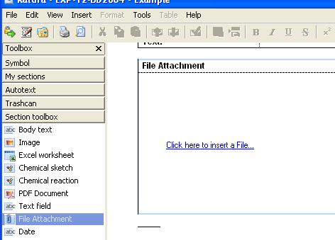 File attachment section Add a File attachment section by double clicking in the section