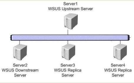 Which server or servers should you identify? (Each correct answer presents part of the solution. Choose all that apply.) Exhibit: A. Server1 B. Server2 C. Server3 D.