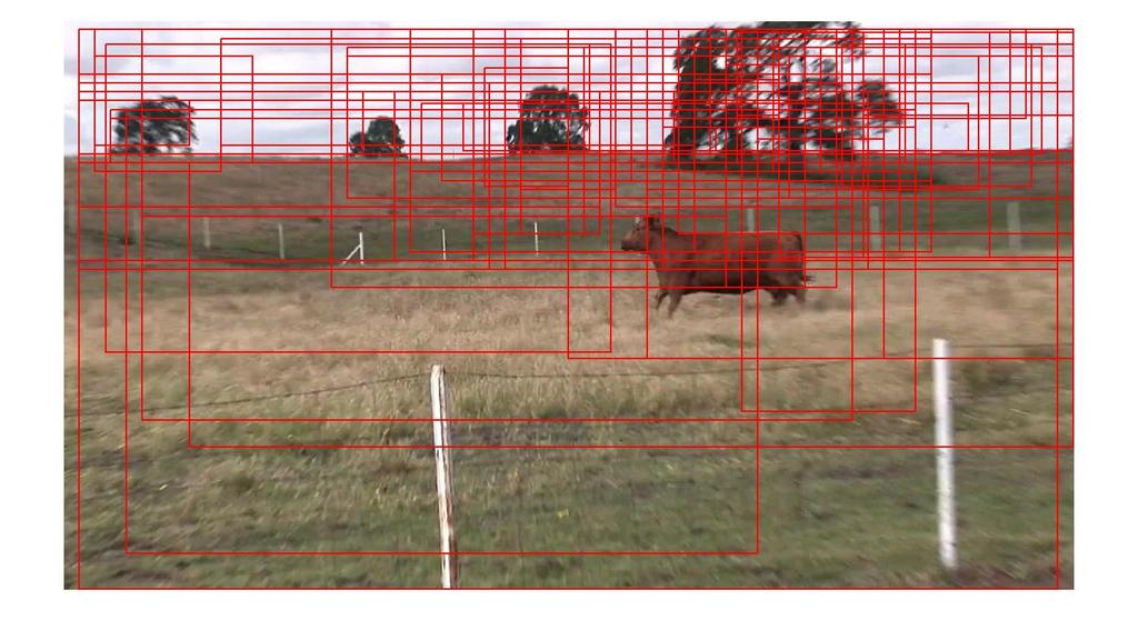 Figure 2. An example of generating object proposals. Given an frame in a video, the objectness in [23] is applied.