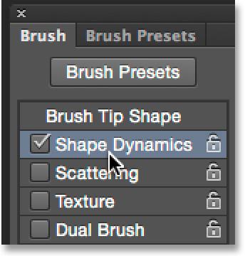 When the Brush panel opens, click directly on the words Shape Dynamics on the left.
