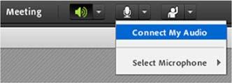If they give you rights to speak in the Online Class you will see a white microphone icon in the top menu.