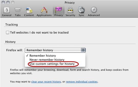 4 Select Use custom settings under History.