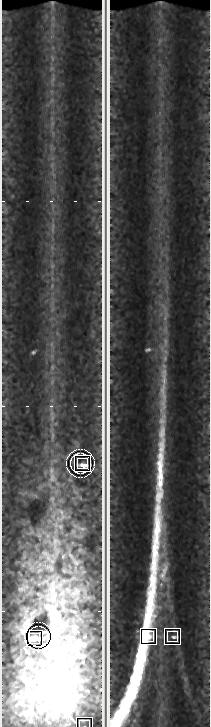 6 Folkesson and Leonard Fig. 2 Here is an example of the vertical (upper) and horizontal (lower) sonar head images.