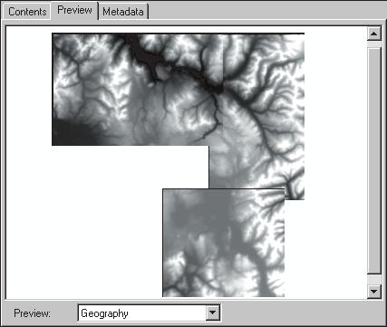 A raster dataset s appearance in Geography view depends on how many raster bands it has.