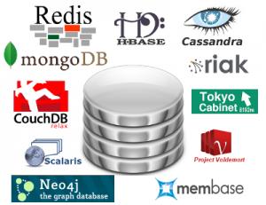 What is a NoSQL Database? A key/value store Basic index manager, no complete query language E.g. Google BigTable, Amazon Dynamo An extensible column-based database E.g. Cassandra, Hbase A web document database For web documents, not for small business transactions E.