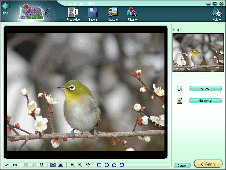 Editing Images Image Editing Window Select an image file in the album window, and click the tool button [Edit] to switch to the image editing window.