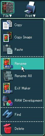 Renaming a File Use the following procedure to rename a file.