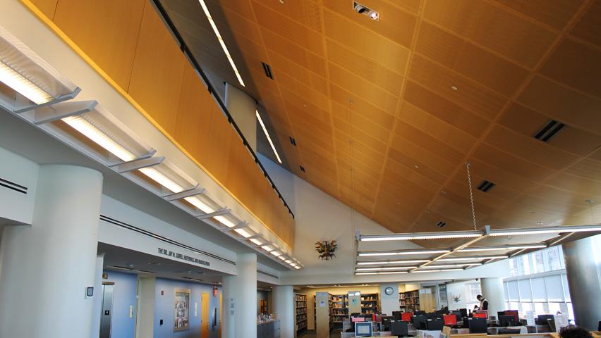 Daniel and his team wanted to make sure that the natural light actually helped the library be more energy efficient. They added other features to their design.