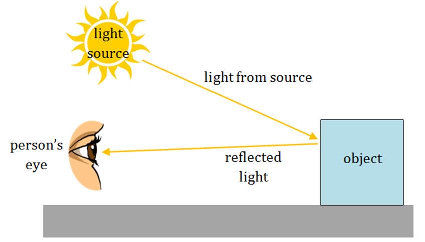 Reflecting Light Almost all objects reflect some light. This is how we see. Sight is a sense that uses the eyes to take in light information about an object s position, shape, and color.