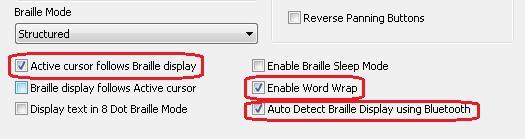 checked: o Active cursor follows Braille display o Enable Word Wrap o Auto Detect Braille