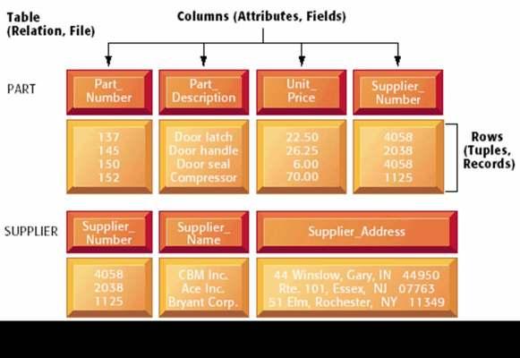 Types of Databases: Relational DBMS Hierarchical and