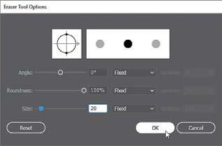2 Double-click the Eraser tool ) in the Tools panel to edit the tool properties. In the Eraser Tool Options dialog box, change Size to 20 pt to make the eraser larger. Click OK.