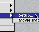 You can import an audio track from a QuickTime movie into Cubasis VST.