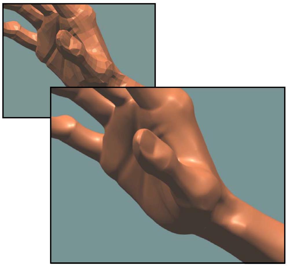 s hand (NURBS)