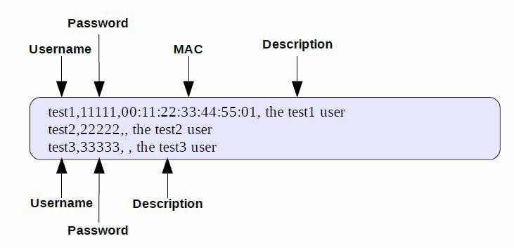 The upload file should be a text file and the format of each line is Username, Password, MAC, Description without the quotes. There must be no spaces between the fields and commas.