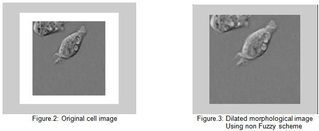 A gray value image is considered as a fuzzy set in the sense that it is a fuzzy version of a binary image, or that a gray value represents the degree to which pixel belongs to the image foreground 4