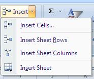 Notice the two Andersons, and the three Smiths. Insert and Delete Rows Excel will insert a blank row ABOVE an active cell.