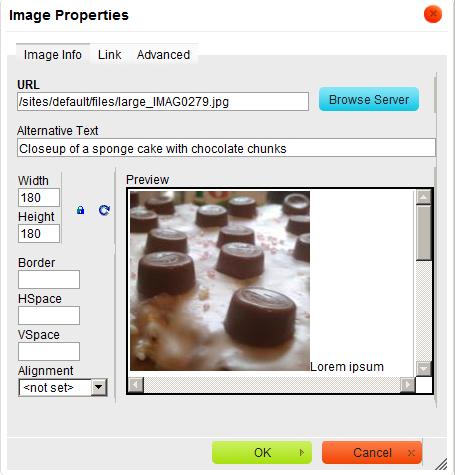 In the File browser select Upload to transfer the file to the server. 14. You will now see your image in the File browser. Select the image and then select Insert file to use the image: 15.